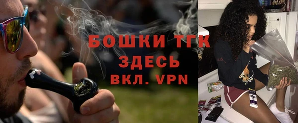 спайс Богданович