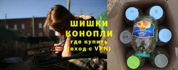 спайс Богданович