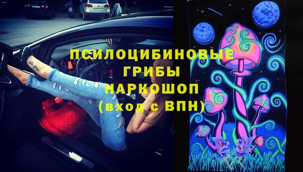 мяу мяу мука Аркадак