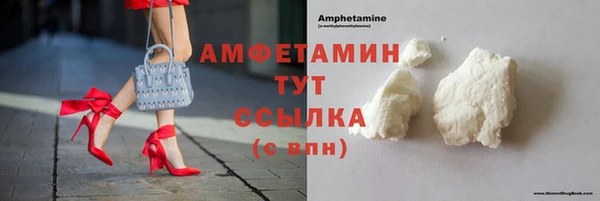 индика Богородск