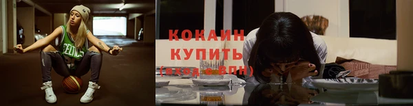 мяу мяу мука Аркадак