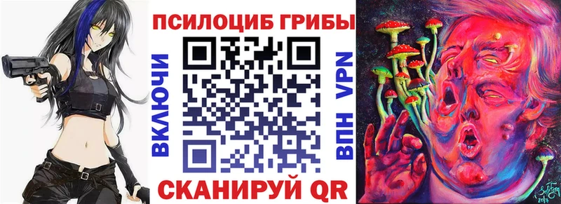 Псилоцибиновые грибы Psilocybine cubensis  Козьмодемьянск 